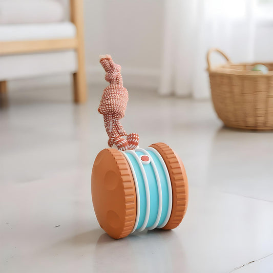 Tiragraffi Elettrico - Petfriendly
